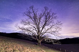<b class=qtipBold><figcaption>Midnight Tree Hugger</figcaption></b><br>A woman hugging a tree located off the Blue Ridge Parkway in Blowing Rock, NC.<br><em>© ROBERT LOE</em> Midnight Tree Hugger