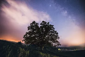 <b class=qtipBold><figcaption>Cream</figcaption></b><br>The milky way rising over the Blue Ridge Parkway with creamy colored clouds illuminated by the moon.<br><em>© ROBERT LOE</em> Cream