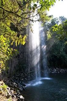 Millaa Millaa Falls, Atherton Tableland, Queensland, Australia Millaa Millaa Falls, Atherton Tableland, Queensland, Australia