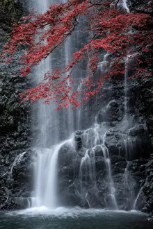 Minoo waterfall in colorful autumn season with red maple leaf, Minoo park, Osaka, Japan Minoo waterfall in colorful autumn season with red maple leaf, Minoo park, Osaka, Japan