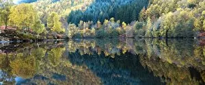 Loch Tummel Gallery: Mirror reflections