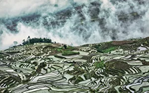 UNESCO World Heritage Gallery: Yuanyang Rice Terraces Collection