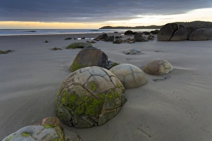 Moeraki Boulders on the beach at dawn, Moeraki Beach, Hampden, Otago Region, New Zealand Moeraki Boulders on the beach at dawn, Moeraki Beach, Hampden, Otago Region, New Zealand