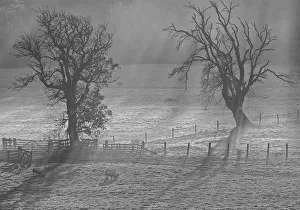 <b class=qtipBold><figcaption>Monochrome Misty Landscape</figcaption></b><br>Atmospheric misty landscape photograph in monochrome<br><em>© © Simon Gakhar</em> Monochrome Misty Landscape