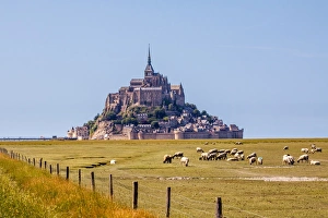 Mont Saint-Michel and meadow during the day Mont Saint-Michel and meadow during the day