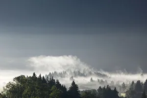 Morning mist over the forest, Gaissach, Isarwinkel, Upper Bavaria, Bavaria, Germany Morning mist over the forest, Gaissach, Isarwinkel, Upper Bavaria, Bavaria, Germany