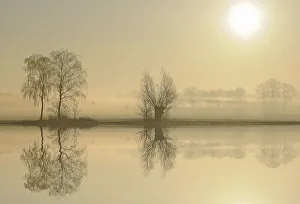 Morning mood at a lake at sunrise, near Tangstedt, Schleswig-Holstein, Germany, Europe Morning mood at a lake at sunrise, near Tangstedt, Schleswig-Holstein, Germany, Europe