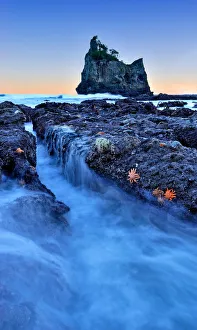 <b class=qtipBold><figcaption>Morning Tide</figcaption></b><br>This image was taken at Motukiekie Beach, New Zealand.<br><em>© Mei Xu</em> Morning Tide