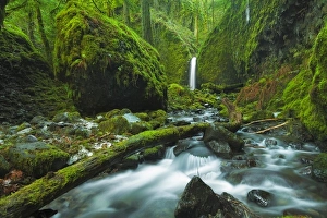 <b class=qtipBold><figcaption>Mossy Grotto Falls</figcaption></b><br>Mossy Grotto Falls is a recently discovered waterfall in Oregon's famous Columbia River Gorge.<br><em>© 2013 Chase Dekker Wild-Life Images</em> Mossy Grotto Falls