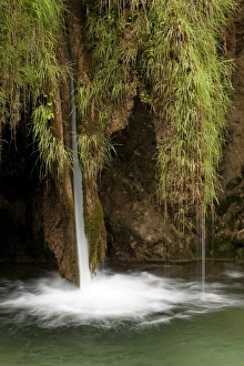 Mossy waterfall, Plitvice Lakes National Park, UNESCO World Heritage Site, Croatia, Europe Mossy waterfall, Plitvice Lakes National Park, UNESCO World Heritage Site, Croatia, Europe