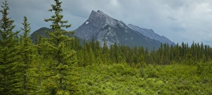 <b class=qtipBold><figcaption>Mount Rundle</figcaption></b><br>Storm clouds move over Mount Rundle in Banff National Park, Alberta.<br><em>© 2016 Chase Dekker Wild-Life Images</em> Mount Rundle