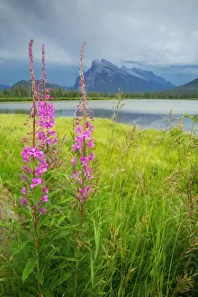 Mount Rundle