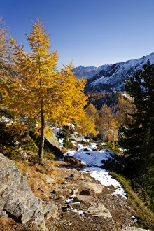 Mountain climber during the ascent to Hoechster Huette hut in Ulten Valley above Mountain climber during the ascent to Hoechster Huette hut in Ulten Valley above