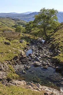 Mountain stream on the Honister Pass in Borrowdale, Lake District National Park, Cumbria, England, United Kingdom Mountain stream on the Honister Pass in Borrowdale, Lake District National Park, Cumbria, England, United Kingdom