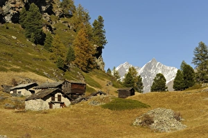 Mountain village of Blatten, old houses and a barn at the front, Zermatt, Valais, Switzerland Mountain village of Blatten, old houses and a barn at the front, Zermatt, Valais, Switzerland