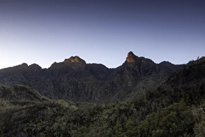 Rwenzori Mountains National Park Gallery: Mt. Saviola, Rwenzori Mountains, Uganda