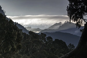 Rwenzori Mountains National Park Gallery: Mt. Stanley, Rwenzori Mountains, Uganda