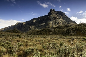 Rwenzori Mountains National Park Gallery: Mt. Stanley, Rwenzori Mountains, Uganda