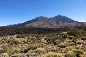 Mt Teide volcano in the Teide National Park, UNESCO World Heritage Site, El Jaral Mt Teide volcano in the Teide National Park, UNESCO World Heritage Site, El Jaral