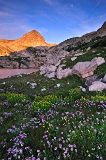 <b class=qtipBold><figcaption>Mt. Toll Sunrise</figcaption></b><br>Mt. Toll is located in Indian Peaks Wilderness Area in Colorado.<br><em>© meixuphotography</em> Mt. Toll Sunrise