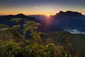 Mt Zugspitze with Hogweed -Heracleum sphondylium- at sunrise, Berwang, Lechtal Valley Mt Zugspitze with Hogweed -Heracleum sphondylium- at sunrise, Berwang, Lechtal Valley