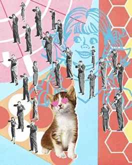 Multiple People Pointing Guns at a Kitten Multiple People Pointing Guns at a Kitten