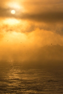 <b class=qtipBold><figcaption>Mysterious sunrise</figcaption></b><br>A foggy sunrise scene at Conowingo Dam of Abeerdeen sets an eerie mood.<br><em>© 2015 Phoo Chan</em> Mysterious sunrise
