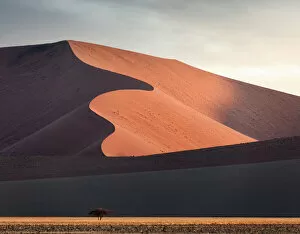 Namib desert, Dead Vlei, Namibia, Africa. Sand dunes at sunset