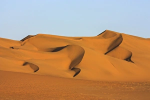 Namib Desert, Namib Naukluft Park, Namibia, Africa Namib Desert, Namib Naukluft Park, Namibia, Africa