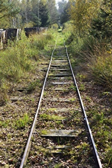 Narrow gauge railway tracks, former peat railway, Nicklheim, Upper Bavaria, Bavaria Narrow gauge railway tracks, former peat railway, Nicklheim, Upper Bavaria, Bavaria