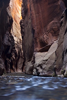 The Narrows, narrow point of the Virgin River, Zion National Park, Utah, USA, America The Narrows, narrow point of the Virgin River, Zion National Park, Utah, USA, America