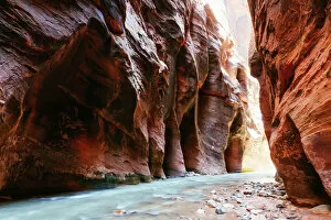Zion National Park Gallery: The Narrows, Zion Canyon National Park, USA