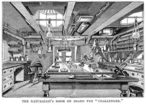 Naturalist's Room on Board HMS Challenger Naturalist's Room on Board HMS Challenger