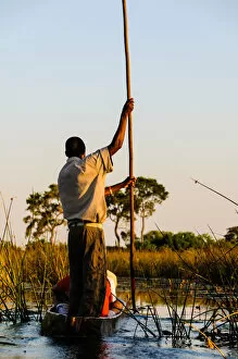 Okavango Gallery: Navigating the Delta