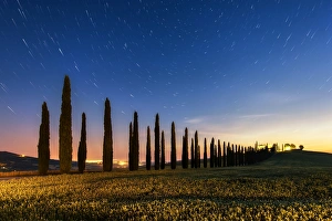Related Images Gallery: Night in Tuscan fields