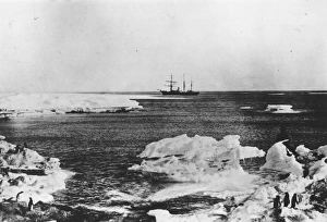 <b class=qtipBold><figcaption>Nimrod In Antarctica</figcaption></b><br>circa 1908: An icy coastline, off which the ship 'Nimrod' is moored, during one of Irish explorer Sir Ernest Henry Shackleton's expeditons. (Photo by Hulton Archive/Getty Images) Nimrod In Antarctica