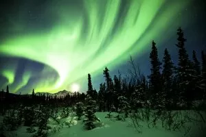 Images Dated 25th December 2013: Northern Lights