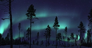 <b class=qtipBold><figcaption>Northern Lights in Sweden</figcaption></b><br>The Aurora Borealis illuminates the night sky within a Swedish forest.<br><em>© David N Moorhouse</em> Northern Lights in Sweden