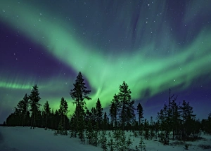 <b class=qtipBold><figcaption>Northern Lights Sweden</figcaption></b><br>Aurora Borealis viewed from a Swedish Forest in Winter<br><em>© David N Moorhouse</em> Northern Lights Sweden