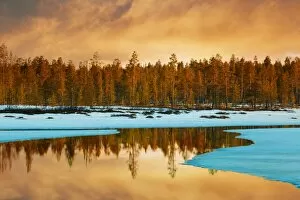 Images Dated 24th April 2011: Northern spring, finnish lapland sunset