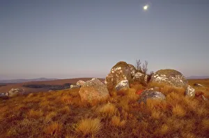 <b class=qtipBold><figcaption>Nyika Plateau, Malawi</figcaption></b><br>A full moon rises over the Nyika Plateau at dusk.<br><em>© Ben Cranke</em> Nyika Plateau, Malawi