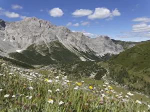 Obere Wolayer Alm mountain pasture with the Biegengebirge Mountains, Carnic Alps, Lesachtal, Carinthia, Austria Obere Wolayer Alm mountain pasture with the Biegengebirge Mountains, Carnic Alps, Lesachtal, Carinthia, Austria