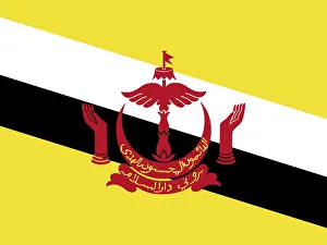 Official national flag of Brunei Darussalam Official national flag of Brunei Darussalam