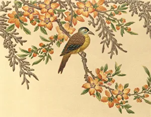 <b class=qtipBold><figcaption>Old Chinese Painting</figcaption></b><br>Ornaments from 'L'Ornement Polychrome' First and Second Series published in 1873 by Albert Charles Auguste Racinet (1825-1893) a french designer, lithographer and art historian. Photographed and edited by J. C. Rosemann.<br><em>© jcrosemann</em> Old Chinese Painting