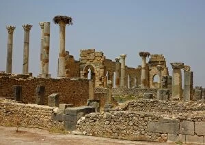 Old Roman ruins in Volubulis, Morocco