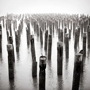<b class=qtipBold><figcaption>Old wooden posts in Hudson River</figcaption></b><br>Old wooden posts in Hudson River at foggy morning, Manhattan.<br><em>© © Eddie O'Bryan</em> Old wooden posts in Hudson River