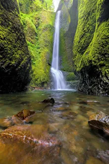 <b class=qtipBold><figcaption>Oneonta Falls</figcaption></b><br>Trek along Oneonta Gorge to Lower Oneonta Falls in the Columbia River Gorge.<br><em>© David Gn</em> Oneonta Falls