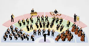 Orchestra, instrumental ensemble arranged with percussion, string, brass, and woodwind sections, with conductor Orchestra, instrumental ensemble arranged with percussion, string, brass, and woodwind sections, with conductor