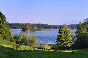 Osterseen nature reserve near Lauterbach, Marieninsel island, Iffeldorf, Upper Bavaria Osterseen nature reserve near Lauterbach, Marieninsel island, Iffeldorf, Upper Bavaria
