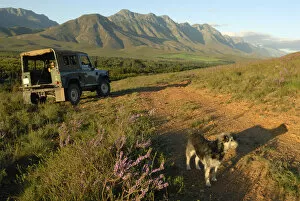 Images Dated 6th September 2007: Outdoor life with dog and 4x4 in the spring, Riviersonderend mountains near Greyton, Overberg